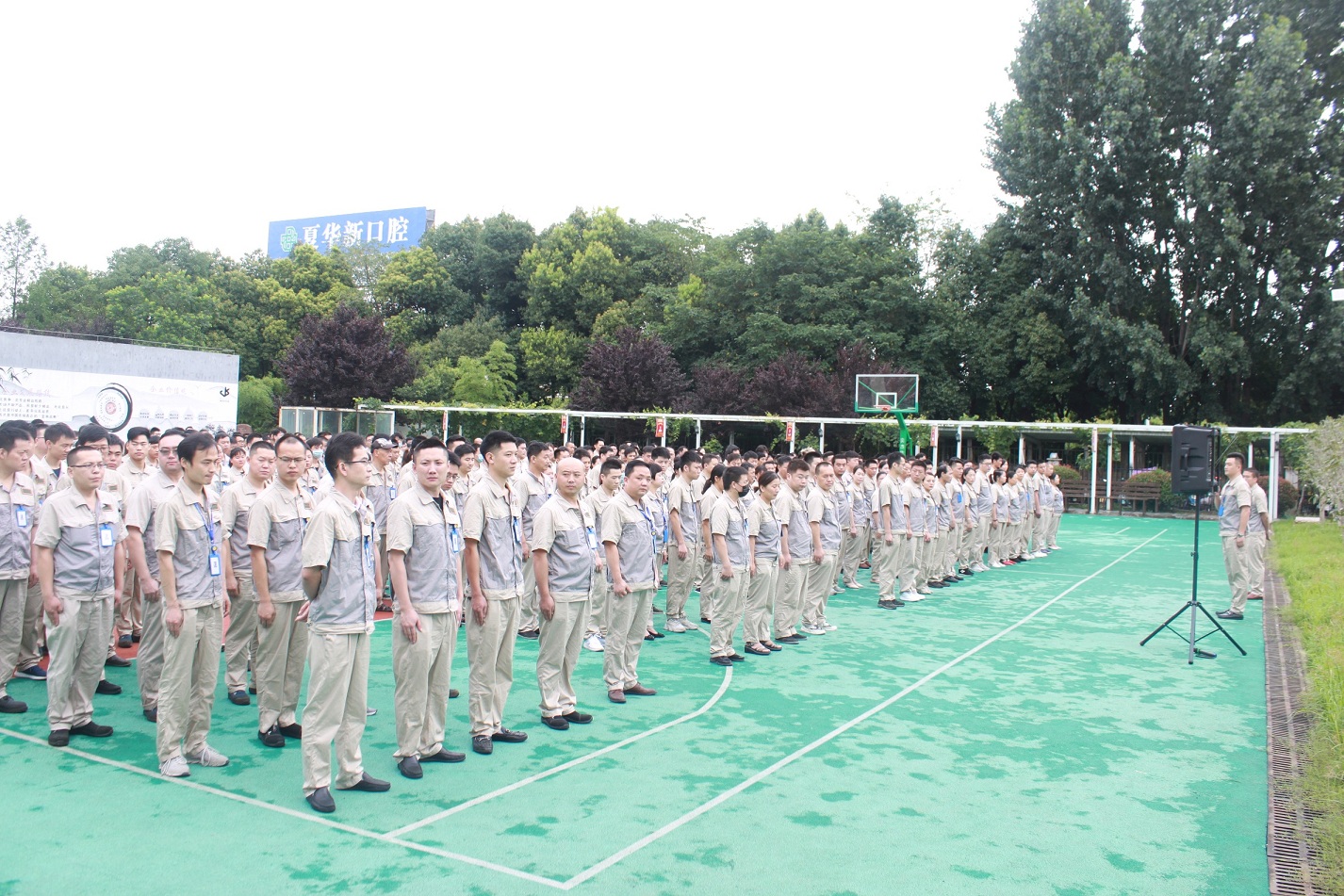 pp电子游戏·仿照器(试玩)官方网站