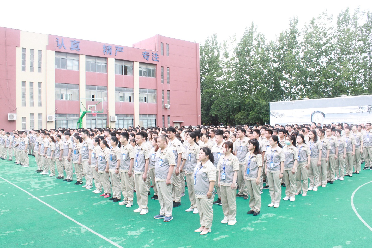 pp电子游戏·仿照器(试玩)官方网站